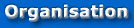 Organisationsteori